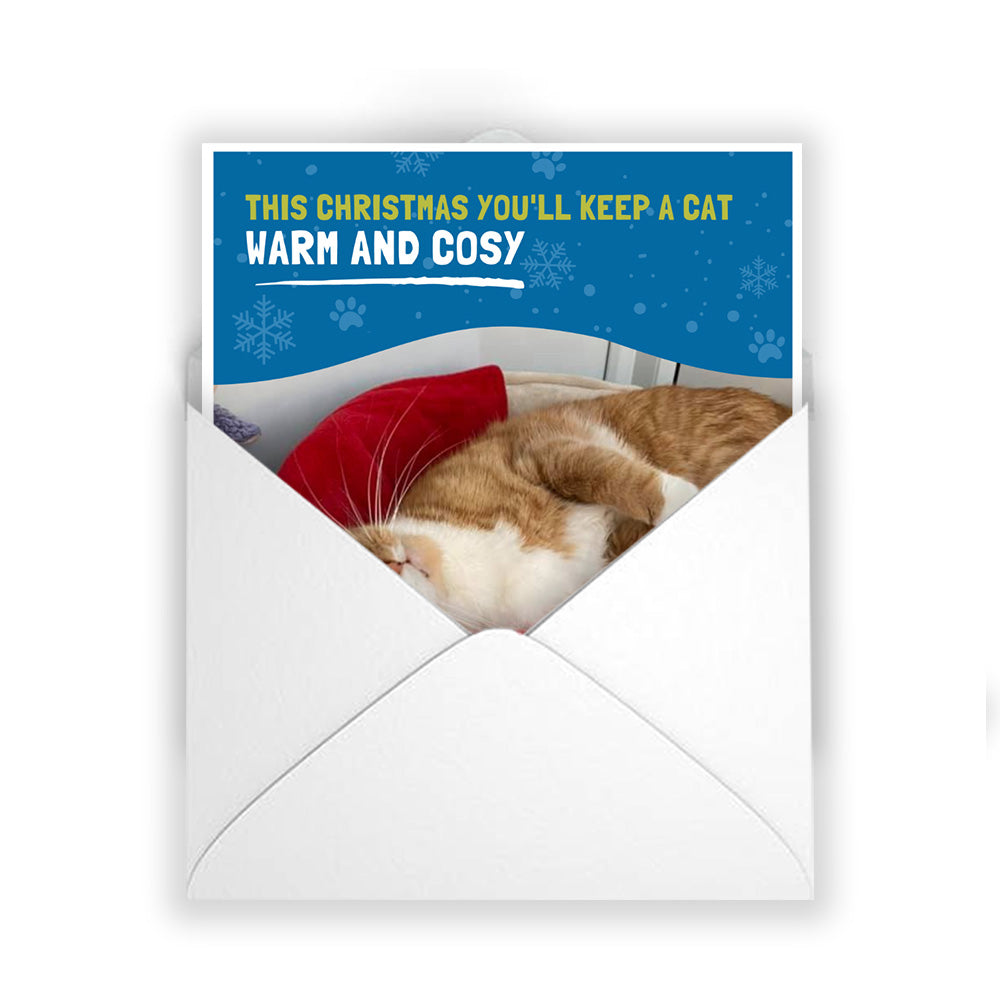 £10 Christmas Gift Donation Card - Keep a Cat Warm and Cosy