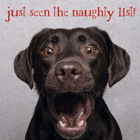 Christmas Cards Pack of 10 - Naughty List