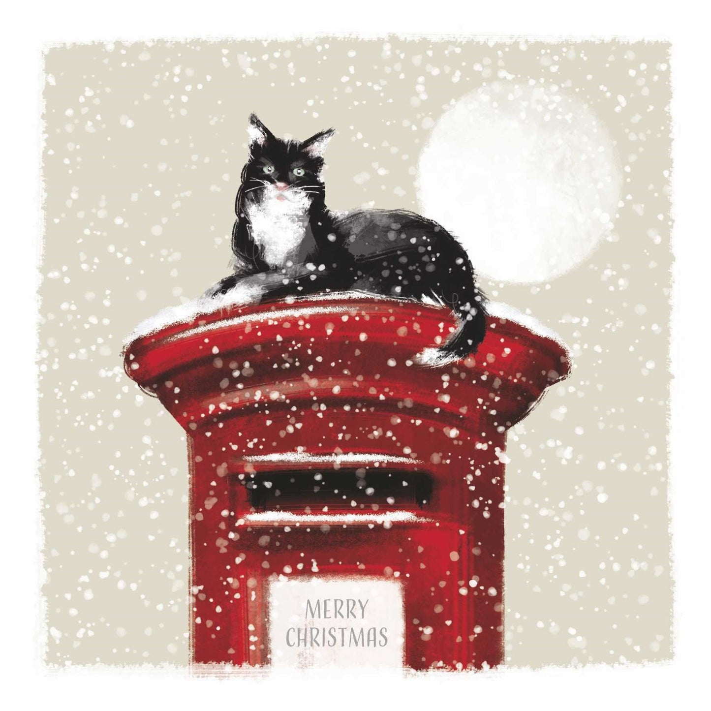 Christmas Cards Pack of 10 - Postman Cat