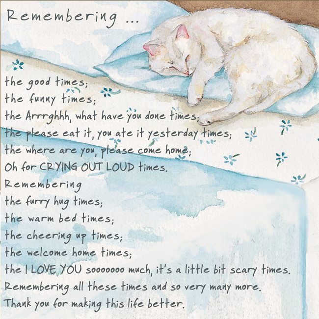 Remember Cat Condolence Card