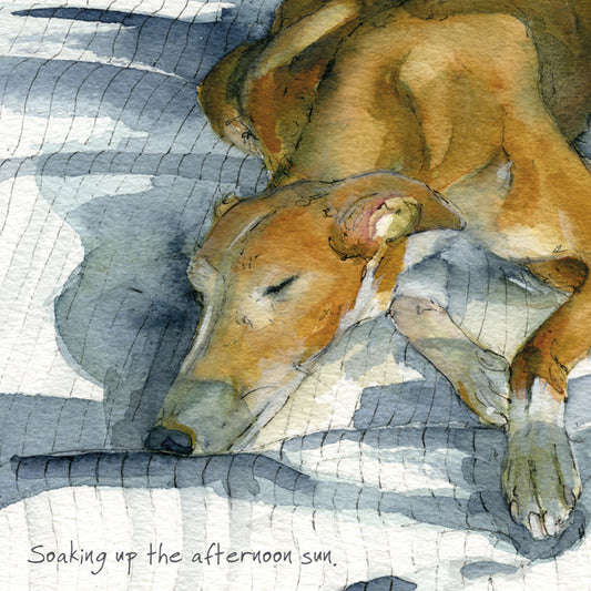 Greyhound 'Afternoon Sun' Greeting Card