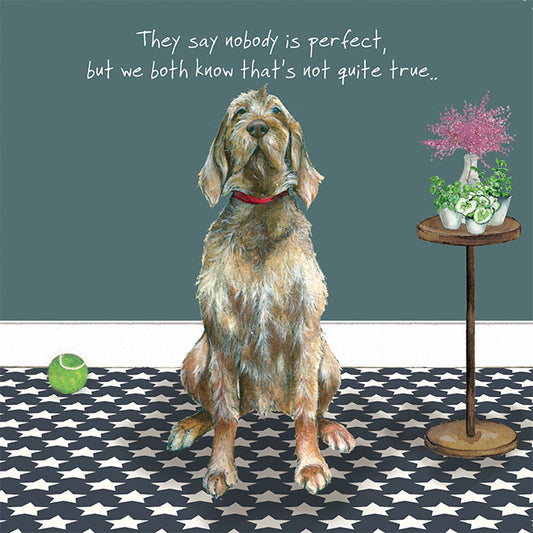 Hungarian Wirehaired Vizsla 'They say nobody is perfect' Greeting Card