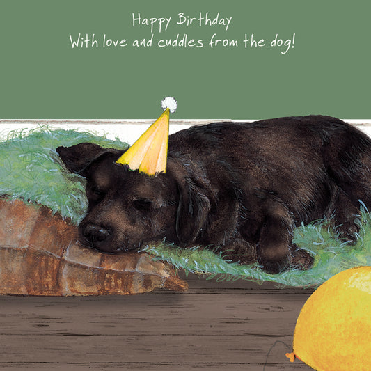 Chocolate Lab 'With love and cuddles from the dog!' Birthday Card - by Little Dog Laughed