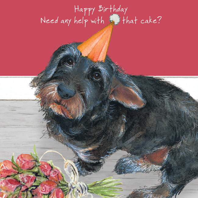 Dacshund 'Need any help with that cake?' Birthday Card