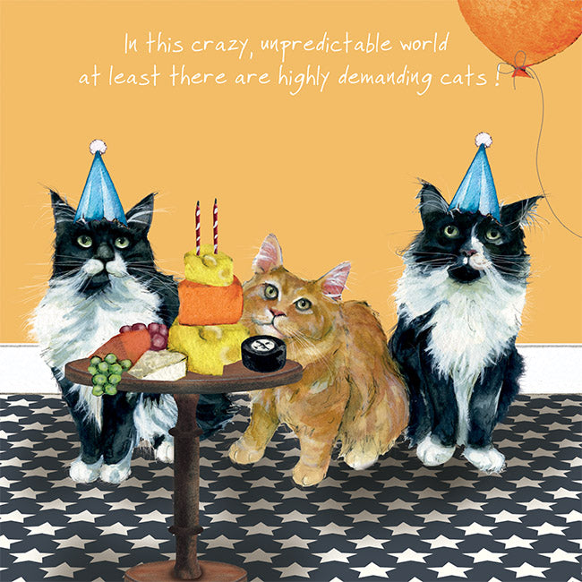 Maine Coon 'Demanding Cats' Greeting Card