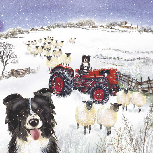 Christmas Cards Pack of 10 - Sheps Tractor