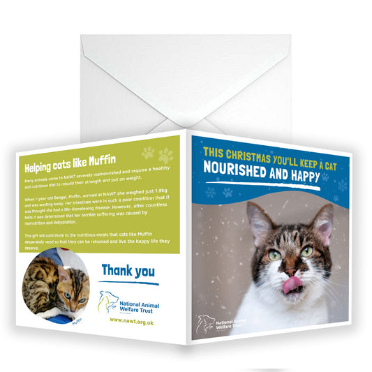 £5 Christmas Gift Donation Card - Keep a Cat Nourished and Happy