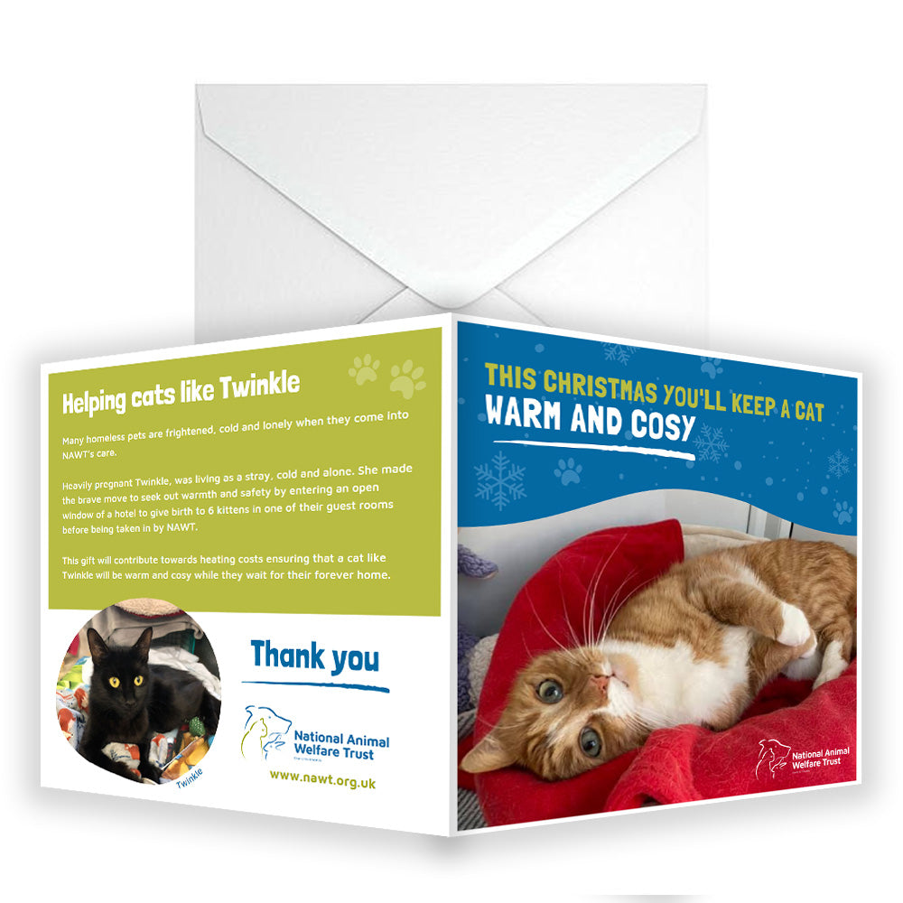 £10 Christmas Gift Donation Card - Keep a Cat Warm and Cosy