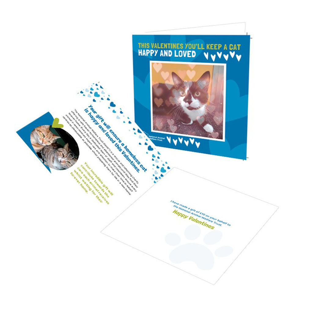 £10 Valentines Gift Donation Card - Keep a Cat Happy & Loved