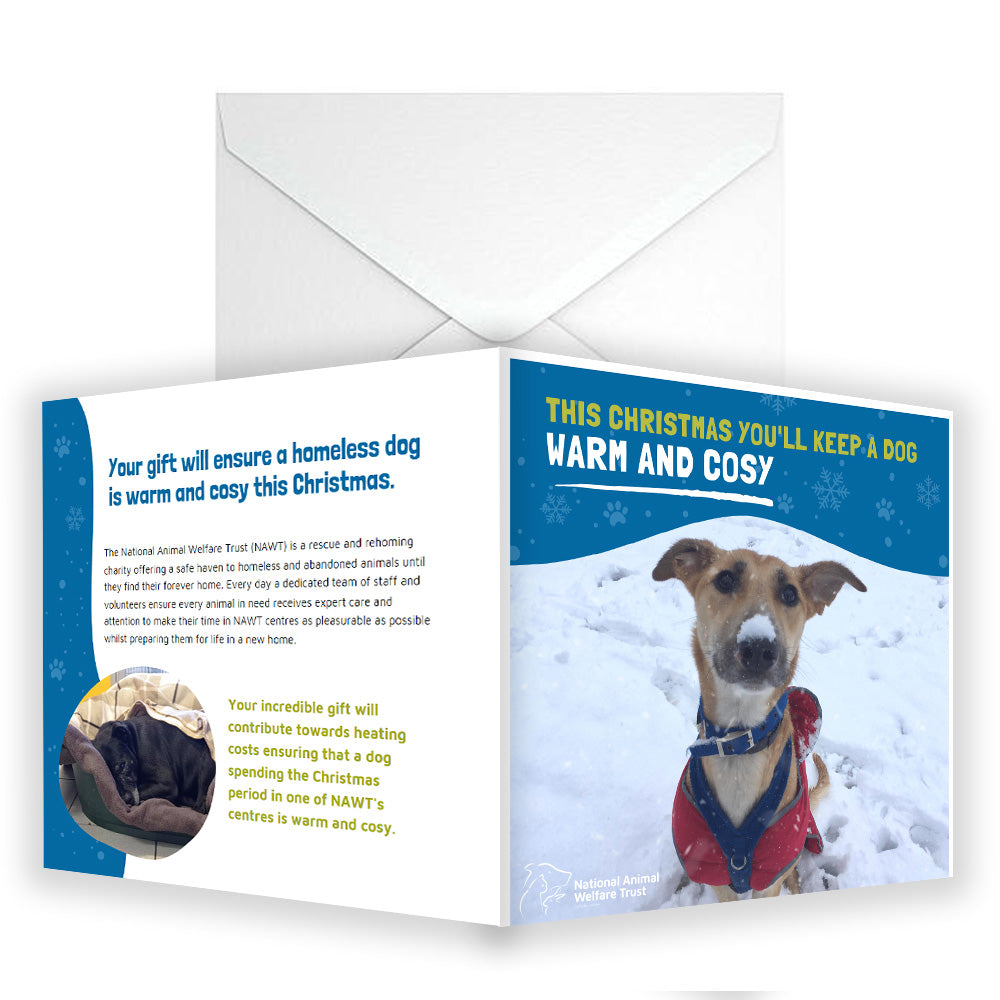 £10 Christmas Gift Donation Card - Keep a Dog Warm & Cosy