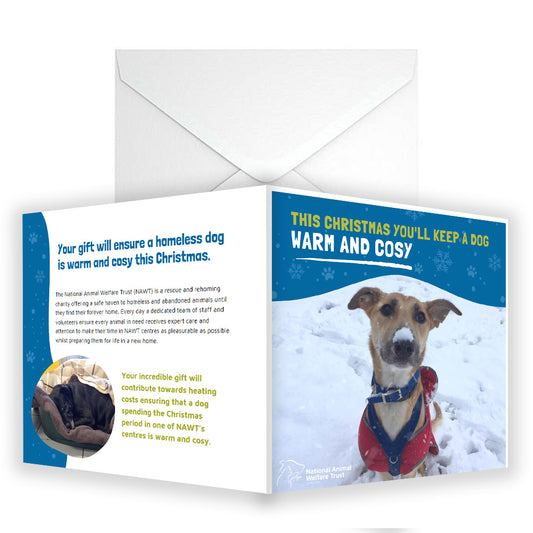 £10 Christmas Gifting Card - Keep a Dog Warm & Cosy