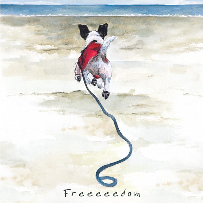 Freedom Mini Card