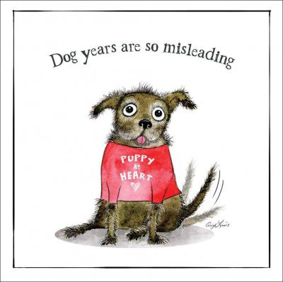 Dog Years Are So Misleading Greeting Card