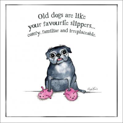 Old Dogs Are Like Your Favourite Slippers Greeting Card