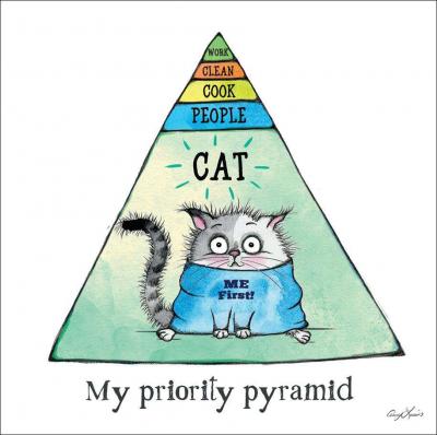 Cat Priority Pyramid Greeting Card